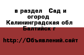  в раздел : Сад и огород . Калининградская обл.,Балтийск г.